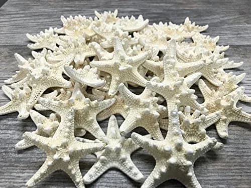 Nautical Crush Trading Real White Knobby Starfish 3"-4" | Coastal Nautical Decor & Beach Wedding Accent thumbnail 6