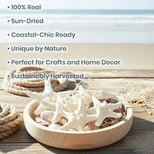 Nautical Crush Trading Real White Knobby Starfish 3"-4" | Coastal Nautical Decor & Beach Wedding Accent thumbnail 2