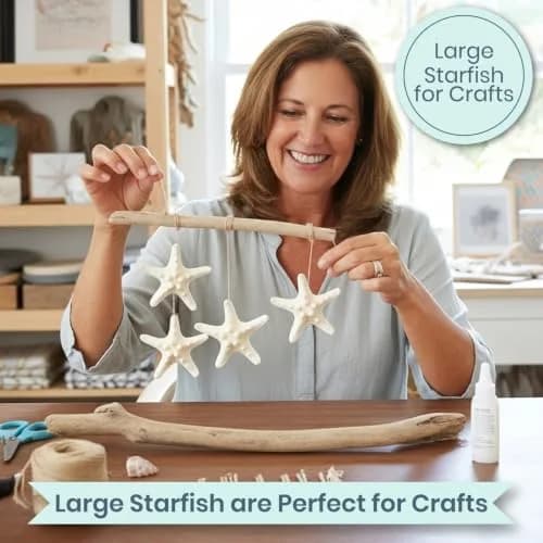 Nautical Crush Trading Real White Knobby Starfish 3"-4" | Coastal Nautical Decor & Beach Wedding Accent thumbnail 3
