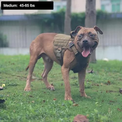 ICEFANG Tactical Dog Harness for Medium Dogs, Reflective No-Pull Vest with Control Handle & Molle System, 25"-31" Chest | 1050D Nylon, Alloy Metal Buckles thumbnail 2