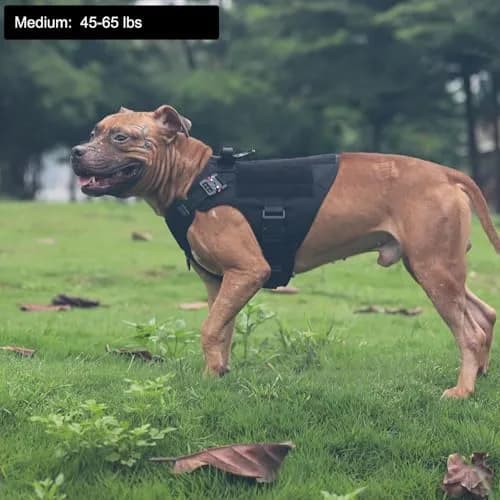 ICEFANG Tactical Dog Harness for Medium Dogs, Black | 1050D Nylon, Alloy Metal Buckles, MOLLE System thumbnail 2