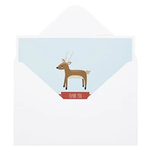 Best Paper Greetings 48 Pack Cute Forest Animal Thank You Cards | Whimsical Woodland Designs for All Occasions thumbnail 6