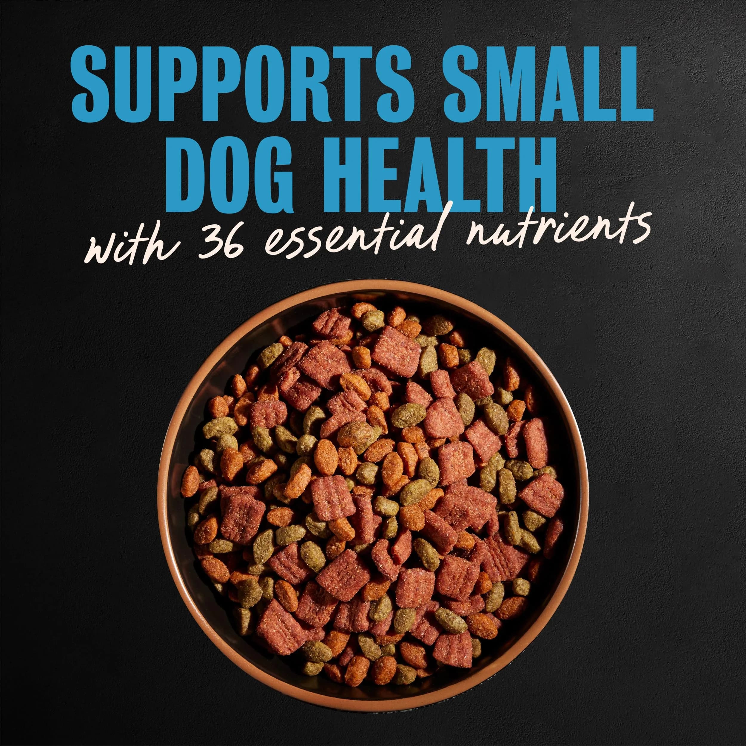 Cesar Small Breed Dry Dog Food, Chicken & Spring Vegetables Flavor, 12 lb thumbnail 3