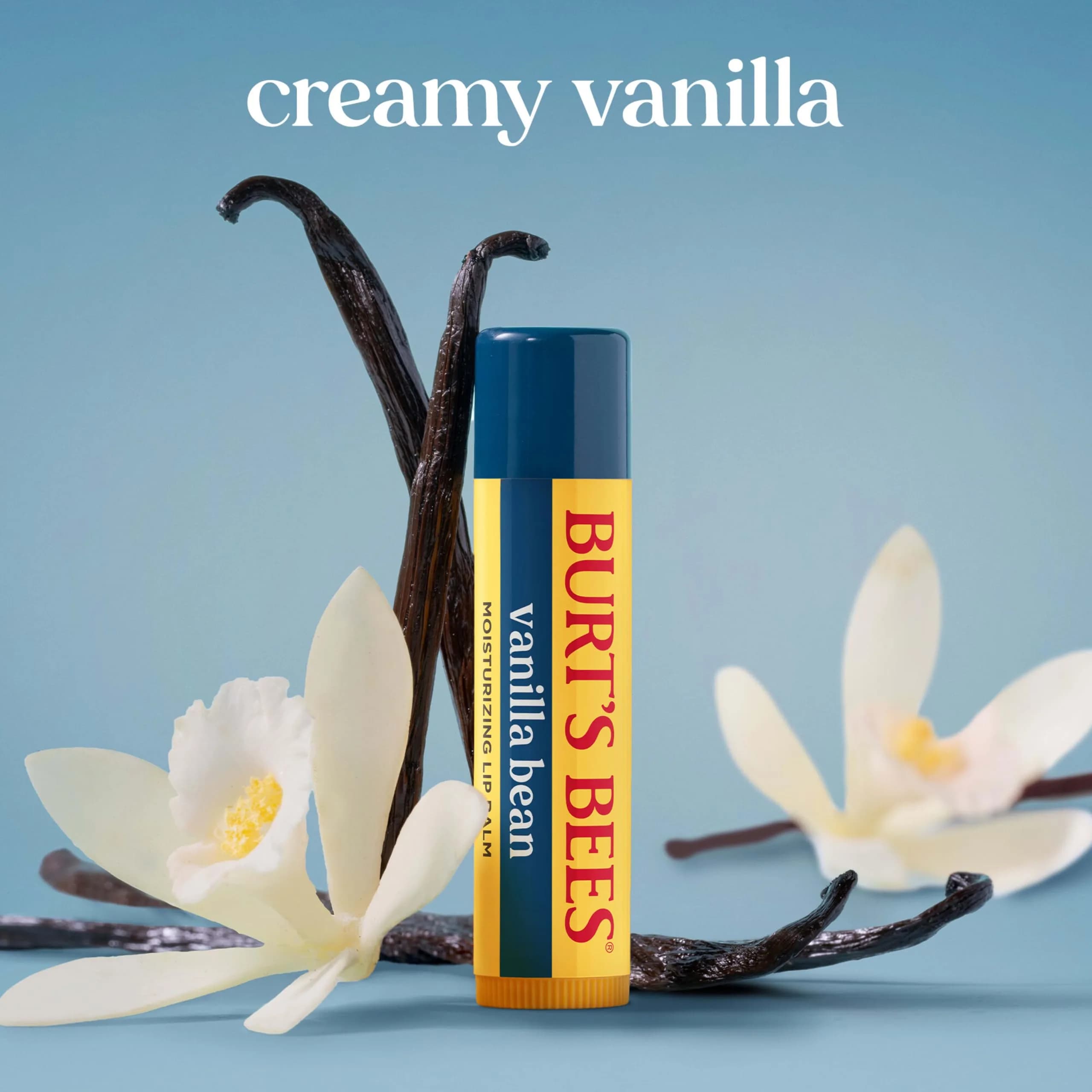 Burt's Bees Vanilla Bean Tint-Free Lip Balm 2 Count | Natural Conditioning Lip Treatment - view 3
