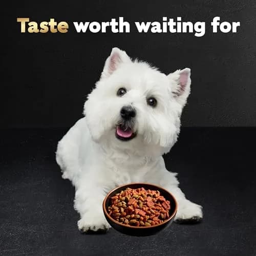 Cesar Small Breed Dry Dog Food, Chicken & Spring Vegetables Flavor, 1.23 kg (2.7 lb) | Nutritionally Complete & Balanced for Small Dogs thumbnail 8