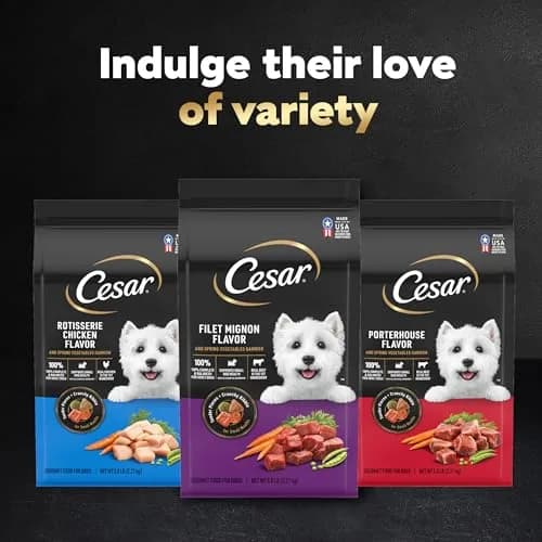Cesar Small Breed Dry Dog Food, Chicken & Spring Vegetables Flavor, 1.23 kg (2.7 lb) | Nutritionally Complete & Balanced for Small Dogs thumbnail 9