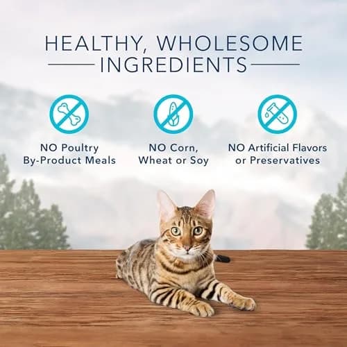 Blue Buffalo Wilderness Tasty Chicken Crunchy Cat Treats, 2 oz (Pack of 12) | Grain-Free, Real Chicken First Ingredient thumbnail 4