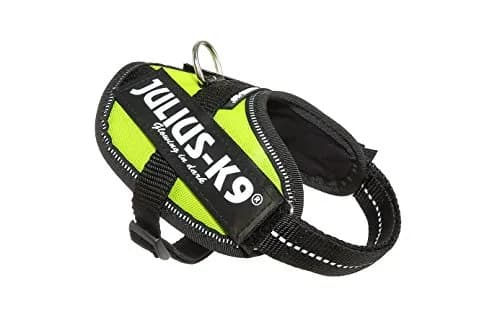 Julius-K9 IDC Powerharness Dog Harness Baby 2 (13-17.5 in Chest, 4.5-11 lbs) | Reflective & Breathable for Small Dogs thumbnail 1