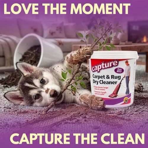 Capture Carpet & Rug Dry Cleaner Powder 1.13 kg (2.5 lb) | Absorbs Dirt, Spills & Odors thumbnail 5
