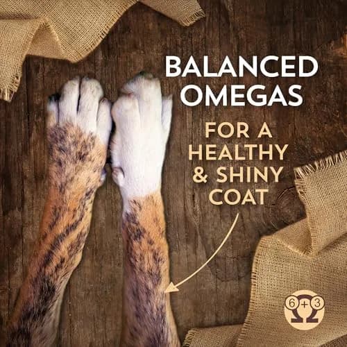 Wholesomes Chicken Meal & Potatoes Grain-Free Dry Dog Food 35 lb | High-Protein, Grain-Free Nutrition thumbnail 3