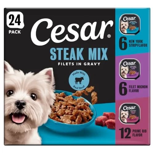 Cesar Filets in Gravy Wet Dog Food, Steak Mix Variety, 3.5 oz | Real Meat, Complete & Balanced for Adult Dogs thumbnail 1