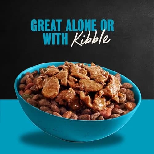 Cesar Filets in Gravy Wet Dog Food, Steak Mix Variety, 3.5 oz | Real Meat, Complete & Balanced for Adult Dogs thumbnail 4