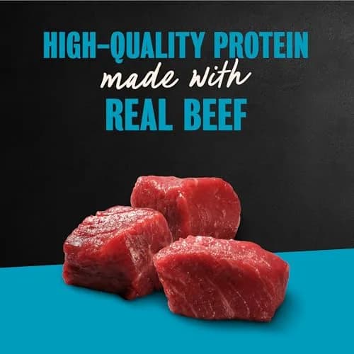 Cesar Filets in Gravy Wet Dog Food, Steak Mix Variety, 3.5 oz | Real Meat, Complete & Balanced for Adult Dogs thumbnail 3