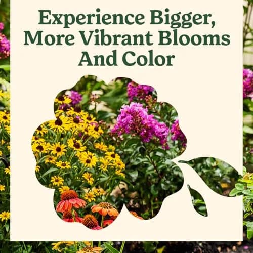 Miracle-Gro Indoor Potting Mix for Orchids 8 qt. | Supports Strong Roots & Blooming (70-120 chars) thumbnail 6