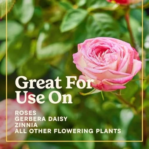 Miracle-Gro Indoor Potting Mix for Orchids 8 qt. | Supports Strong Roots & Blooming (70-120 chars) thumbnail 9