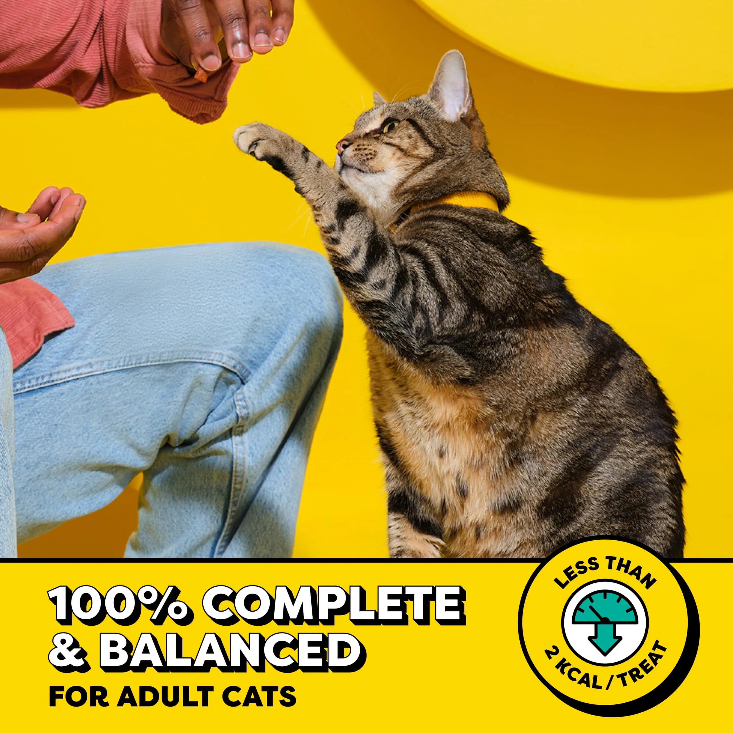 Temptations Classic Crunchy Cat Treats, Shrimpy Shrimp Flavor, 3 oz (85g) x 12 Pack | Irresistible Cat Snacks - view 3