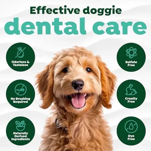 TropiClean Fresh Breath Max Strength Dog Teeth Cleaning Water Additive 473ml (16 fl oz) | VOHC Accepted for Plaque & Tartar Control thumbnail 4