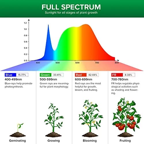SANSI 15W Full Spectrum A19 Grow Light Bulb | 4000K Daylight, ETL Listed, 25,000 Hour Lifespan thumbnail 3