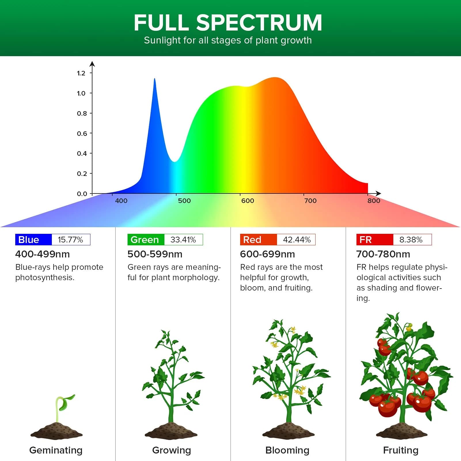 SANSI 15W Full Spectrum A19 Grow Light Bulb | 4000K Daylight, ETL Listed, 25,000 Hour Lifespan - view 3