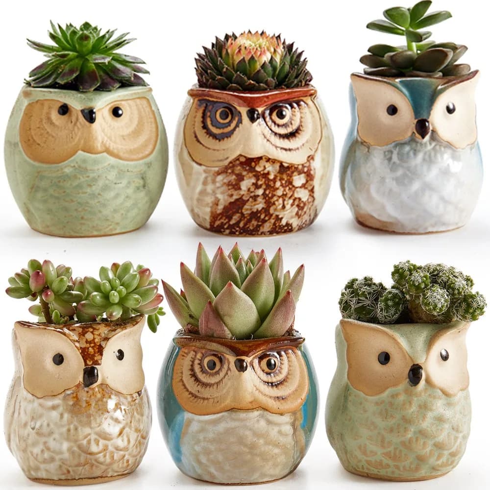SUN-E SE Owl Pot Ceramic Flowing Glaze Base Serial Set Succulent Plant Pot 6pcs 2.5 Inch | Modern Garden Decor