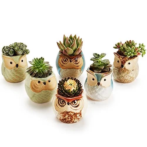 SUN-E SE Owl Pot Ceramic Flowing Glaze Base Serial Set Succulent Plant Pot 6pcs 2.5 Inch | Modern Garden Decor thumbnail 5