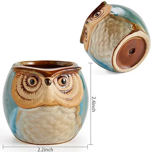 SUN-E SE Owl Pot Ceramic Flowing Glaze Base Serial Set Succulent Plant Pot 6pcs 2.5 Inch | Modern Garden Decor thumbnail 6