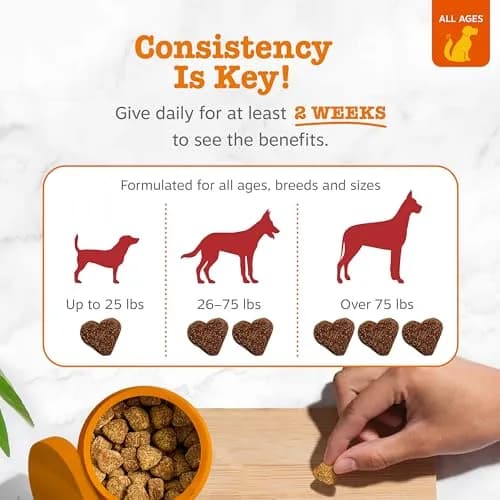 Zesty Paws Cranberry Supplement for Dogs - Chicken, 90 Ct | Urinary & Immune Support thumbnail 4