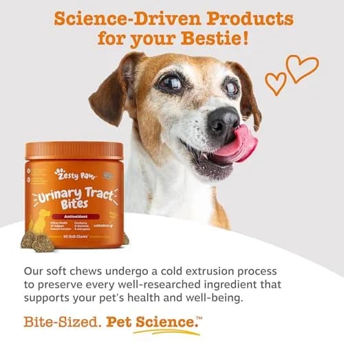 Zesty Paws Cranberry Supplement for Dogs - Chicken, 90 Ct | Urinary & Immune Support thumbnail 5