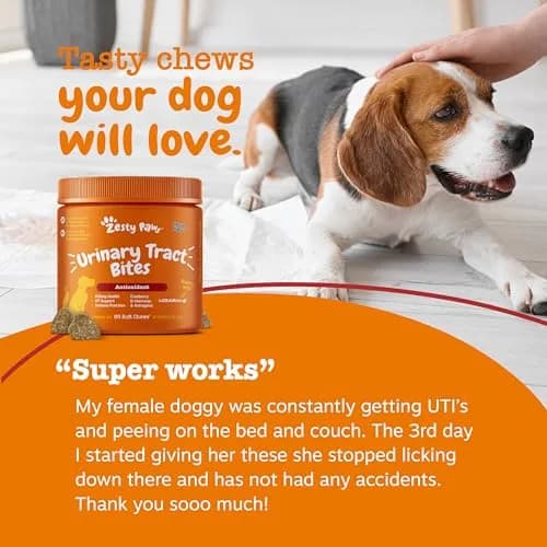 Zesty Paws Cranberry Supplement for Dogs - Chicken, 90 Ct | Urinary & Immune Support thumbnail 6