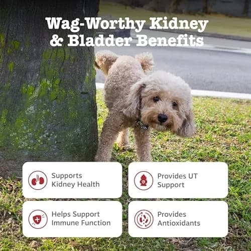 Zesty Paws Cranberry Supplement for Dogs - Chicken, 90 Ct | Urinary & Immune Support thumbnail 2