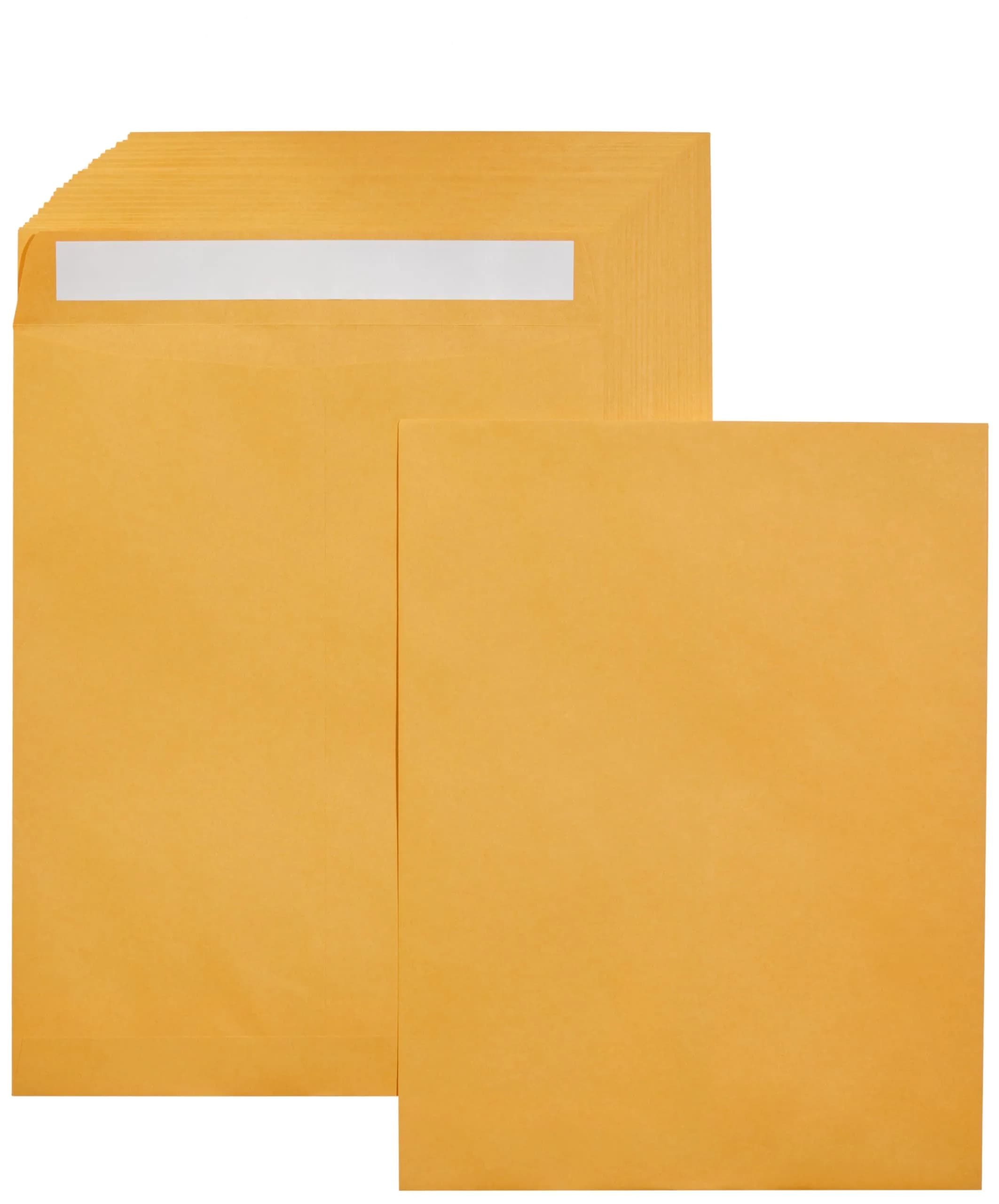 Amazon Basics Catalog Shipping Envelopes 10" x 13" Brown Kraft 100-Pack | Peel and Seal Closure
