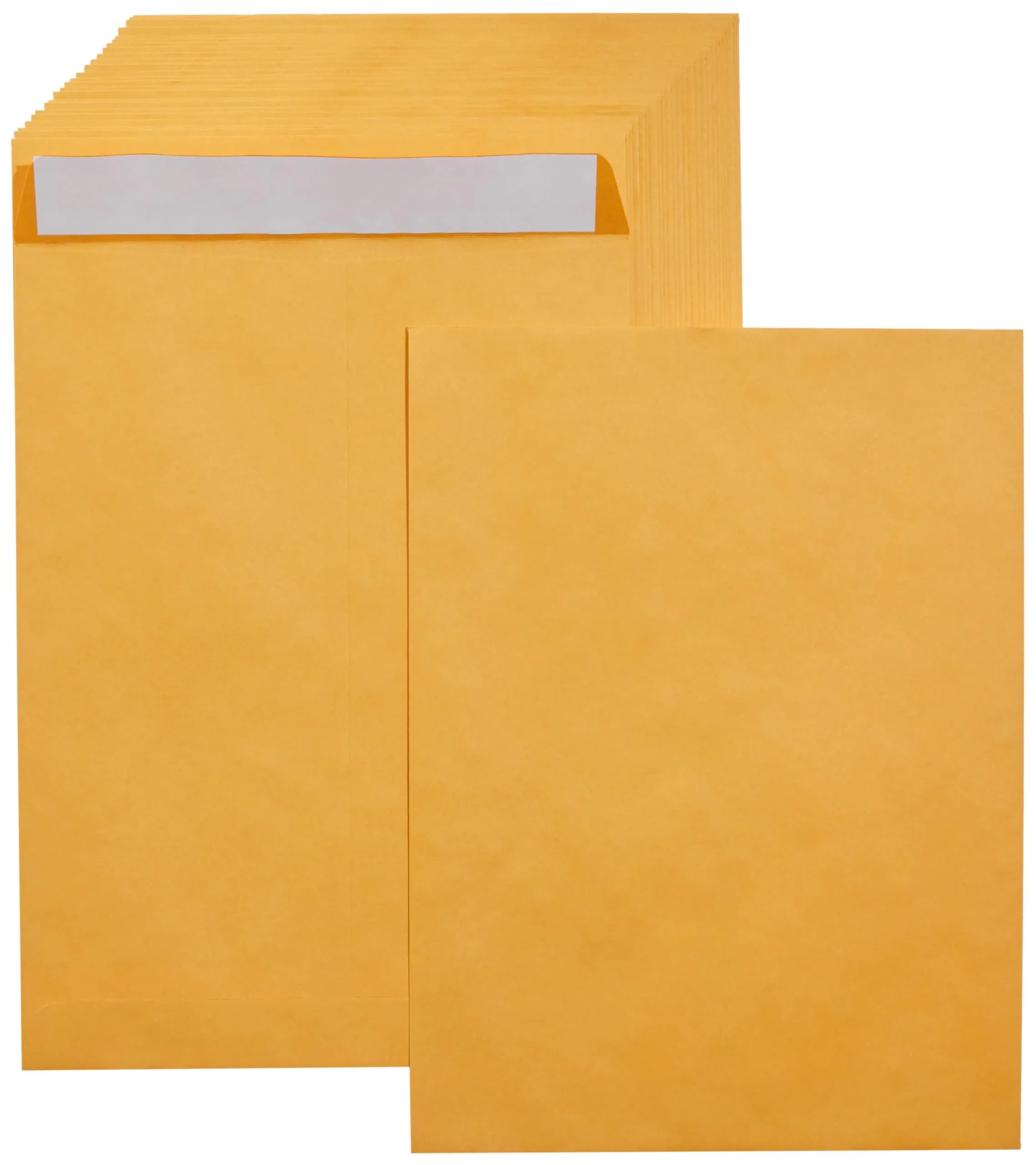 Amazon Basics Catalog Mailing Envelopes 9" x 12" Brown Kraft 100-Pack | Peel and Seal Closure - main product image