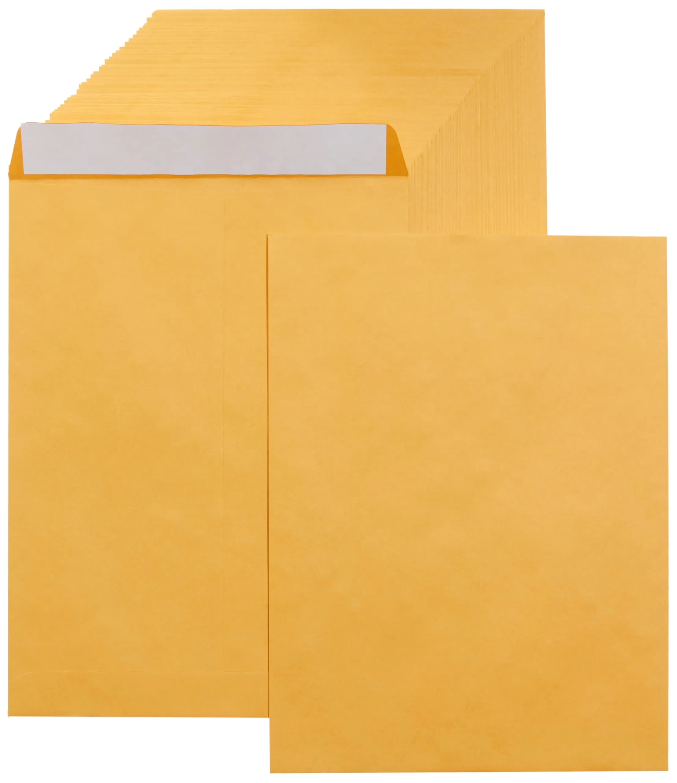 Amazon Basics Catalog Self Seal Mailing Envelopes 9" x 12" Brown Kraft 250-Pack | Peel & Seal Closure — Brown Kraft