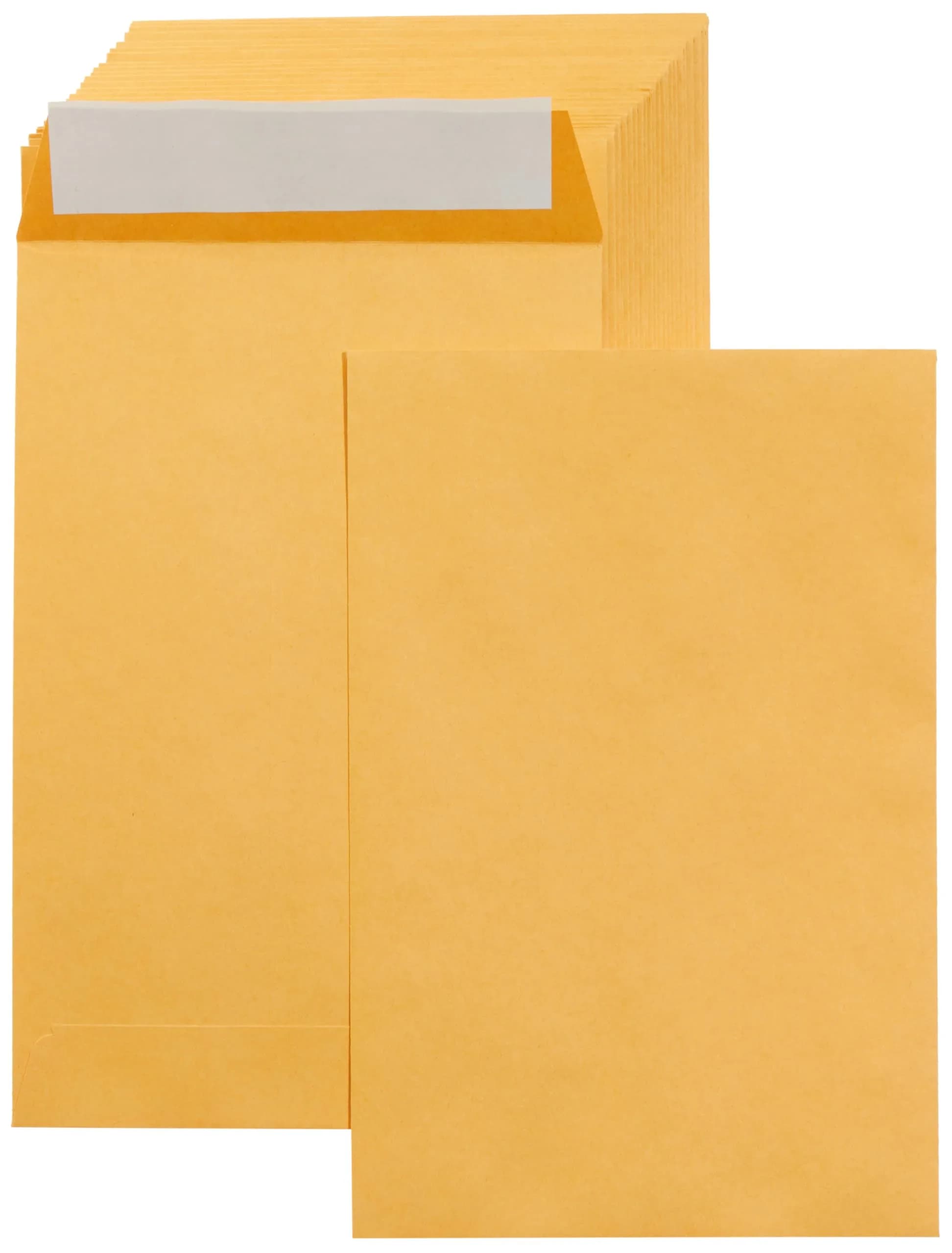 Amazon Basics Self Seal Catalog Envelopes 6" x 9" Brown Kraft 100-Pack | Opaque & Durable for Business Mail - main product image