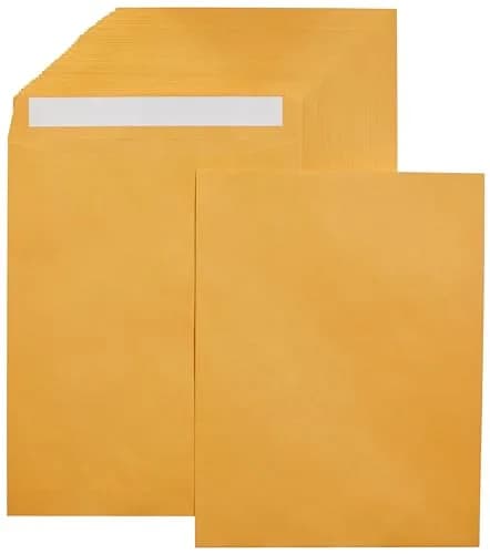 Amazon Basics Catalog Self Seal Mailing Envelopes 10 x 13 Inch Brown Kraft 250-Pack | Peel and Seal Closure thumbnail 1