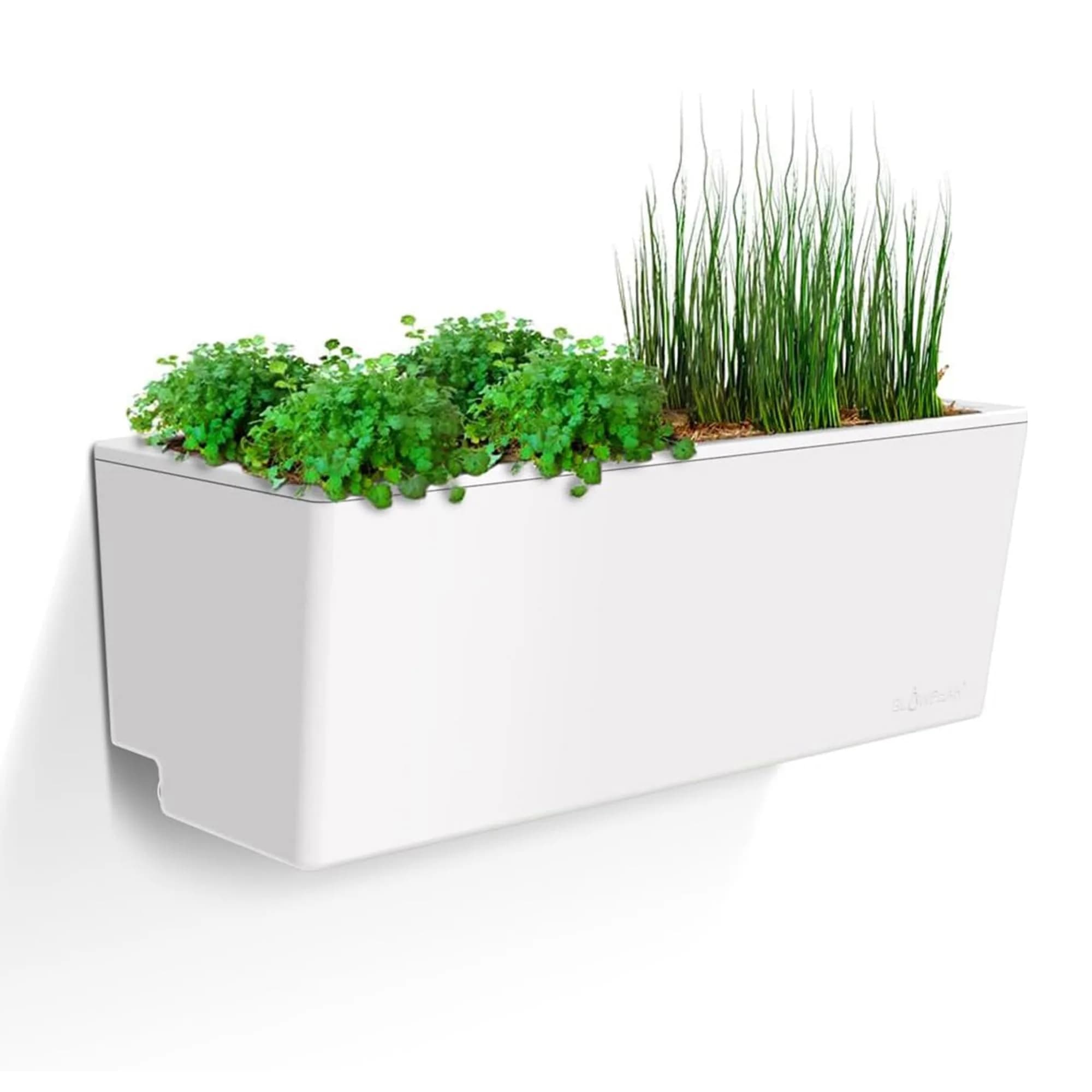 Glowpear Self Watering Planter Box - 23.6" | Scalable Wall Mount, Indoor Outdoor, White, UV Stable, BPA-Free, Modular