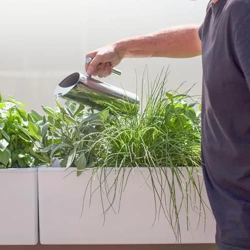 Glowpear Self Watering Planter Box - 23.6" | Scalable Wall Mount, Indoor Outdoor, White, UV Stable, BPA-Free, Modular thumbnail 7