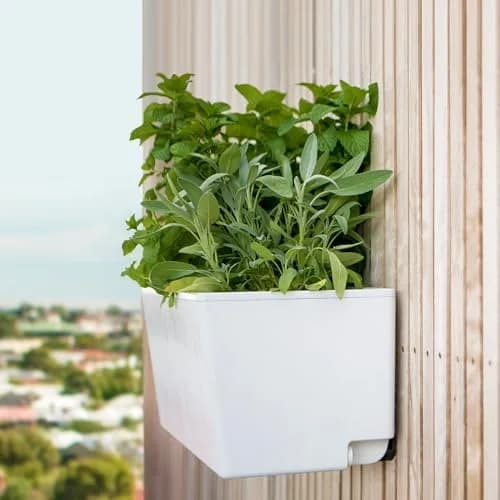Glowpear Self Watering Planter Box - 23.6" | Scalable Wall Mount, Indoor Outdoor, White, UV Stable, BPA-Free, Modular thumbnail 8