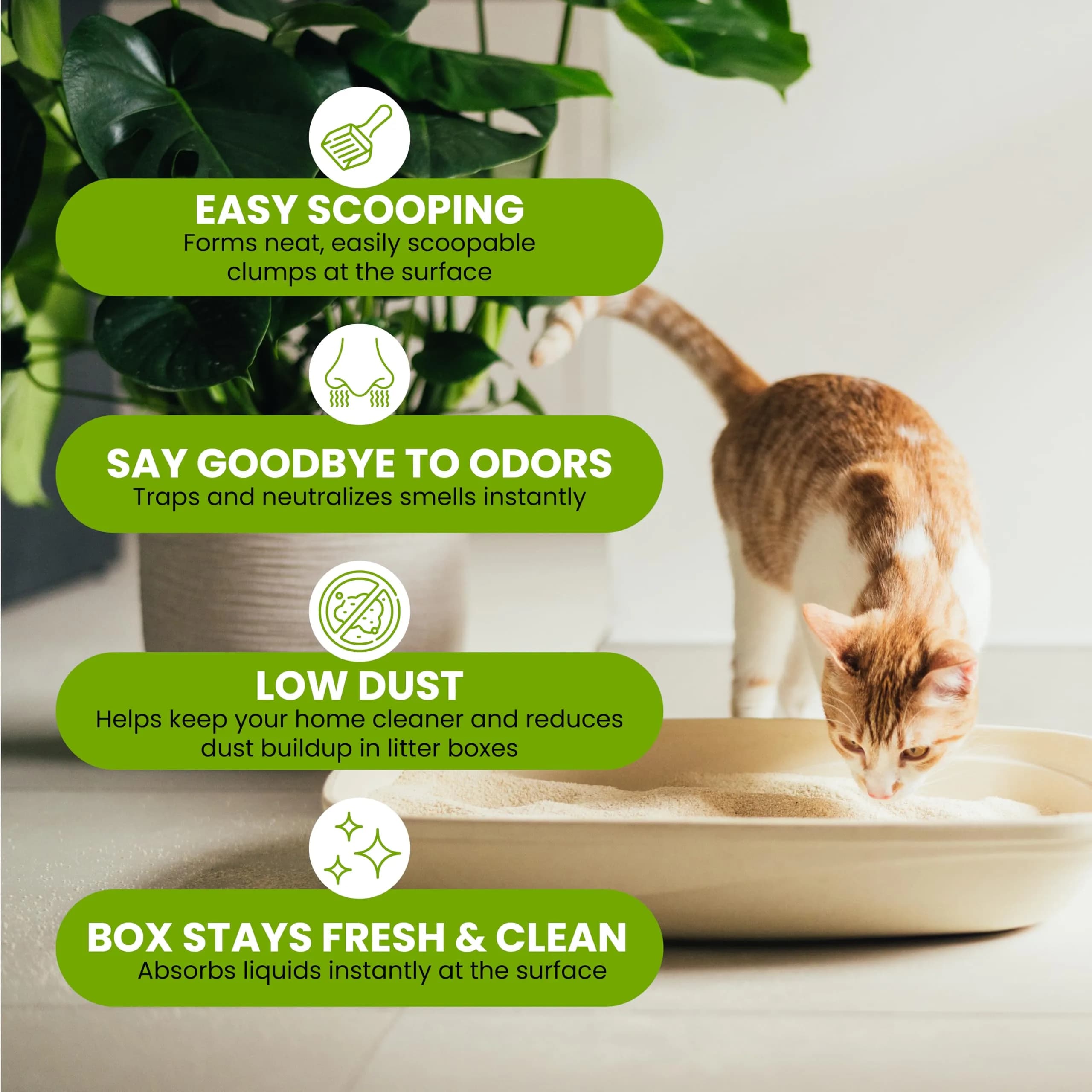 Almo Nature Soft Texture Cat Litter 2.27 kg (5 lb) | Plant-Based Clumping Odor Control - view 3