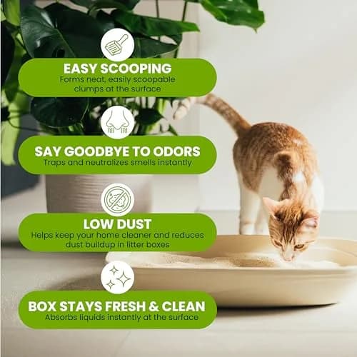 Almo Nature Soft Texture Cat Litter 2.27 kg (5 lb) | Plant-Based Clumping Odor Control thumbnail 3