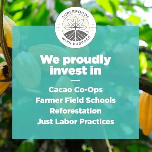 Navitas Organics Cacao Nibs – Unsweetened Dark Chocolate Crunch – Antioxidants, Minerals, Fiber – 16oz (454g) | USDA Organic & Fairtrade thumbnail 6