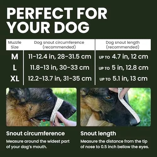 BRONZEDOG Wire Basket Dog Muzzle for Large Dogs | Adjustable Leather & Steel Snout Fit thumbnail 4