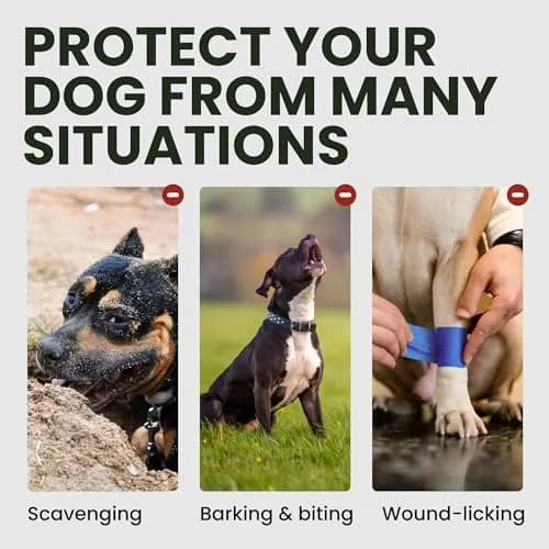 BRONZEDOG Wire Basket Dog Muzzle for Large Dogs | Adjustable Leather & Steel Snout Fit thumbnail 7