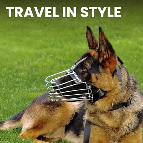 BRONZEDOG Wire Basket Dog Muzzle for Large Dogs | Adjustable Leather & Steel Snout Fit thumbnail 8
