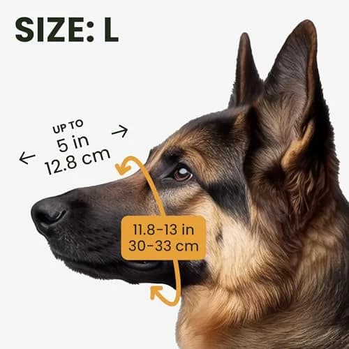 BRONZEDOG Wire Basket Dog Muzzle for Large Dogs | Adjustable Leather & Steel Snout Fit thumbnail 2