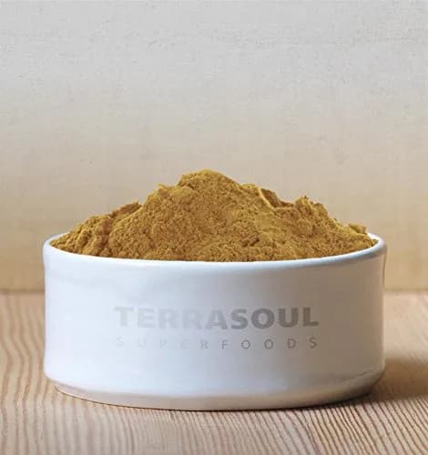 Terrasoul Superfoods Organic Lion's Mane Mushroom Powder (4:1 Extract), 5.5 Ounces | Supports Brain & Digestive Health thumbnail 3