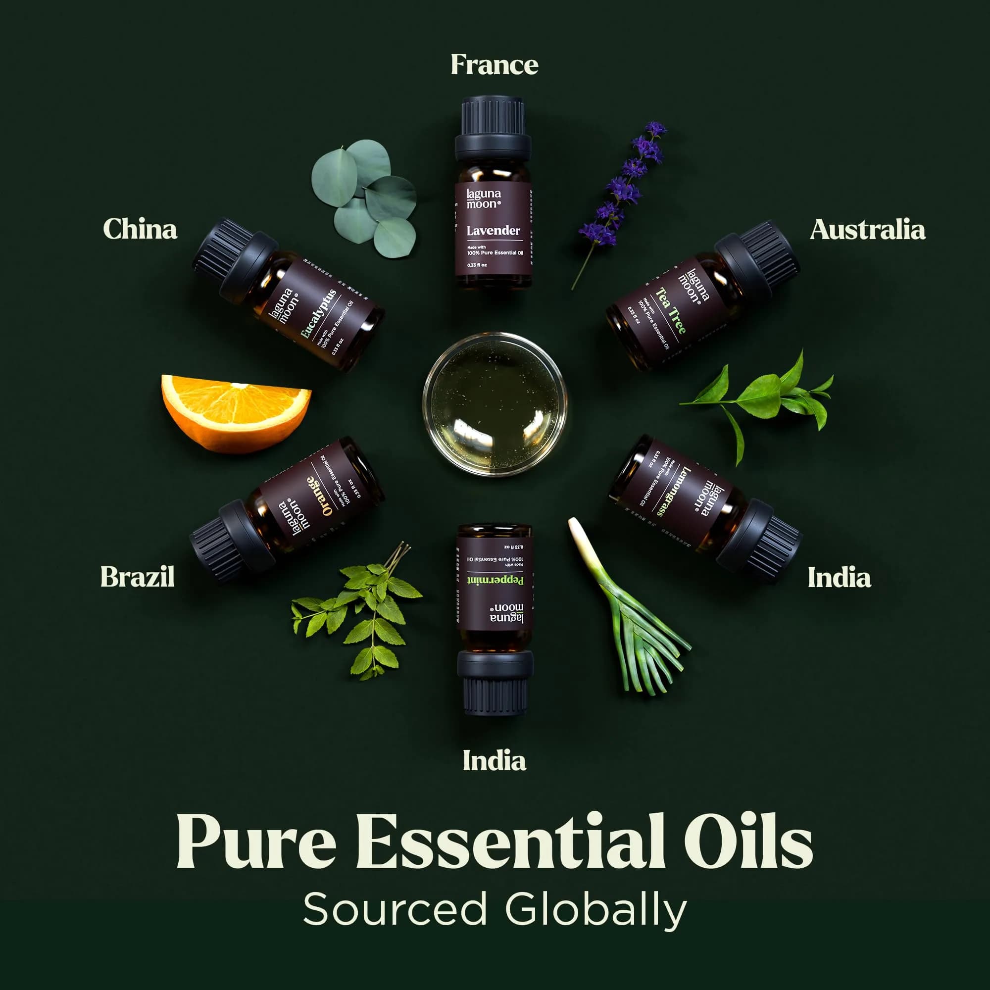 Lagunamoon Essential Oils Aromatherapy Set - 6 Oils for Diffusers, Home Care, Candle Making, 10mL | Pure, Natural, Gift-Ready thumbnail 3
