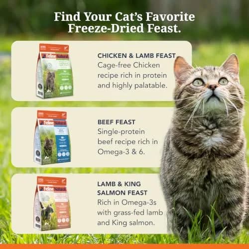 Feline Natural Beef & Hoki Freeze Dried Cat Food 11 oz (312 g) | 98% Meat, Organs & Seafood thumbnail 8