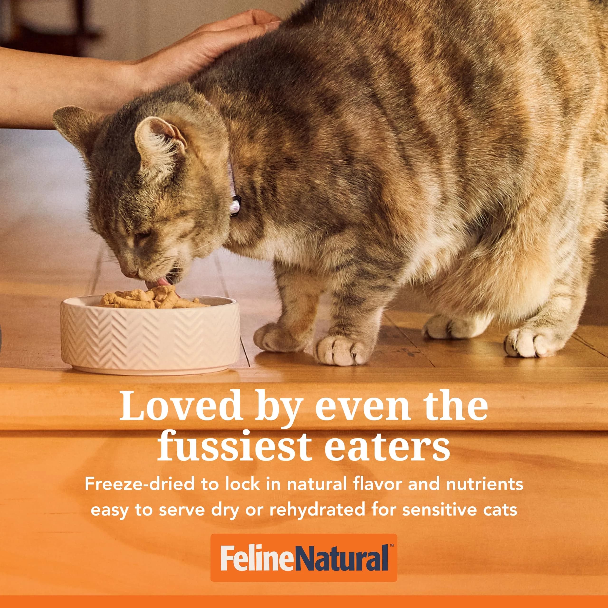 Feline Natural Beef & Hoki Freeze Dried Cat Food 11 oz (312 g) | 98% Meat, Organs & Seafood - view 3
