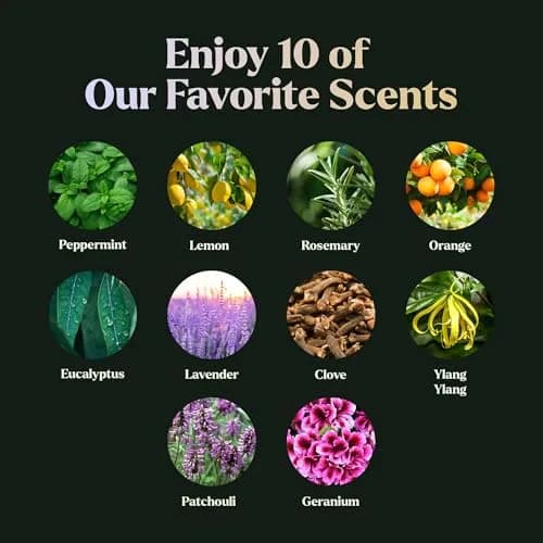 Lagunamoon Essential Oils Set - Top 10 Blends | Fragrance, Aromatherapy, Candle Making (0.33 Fl Oz x10) thumbnail 5